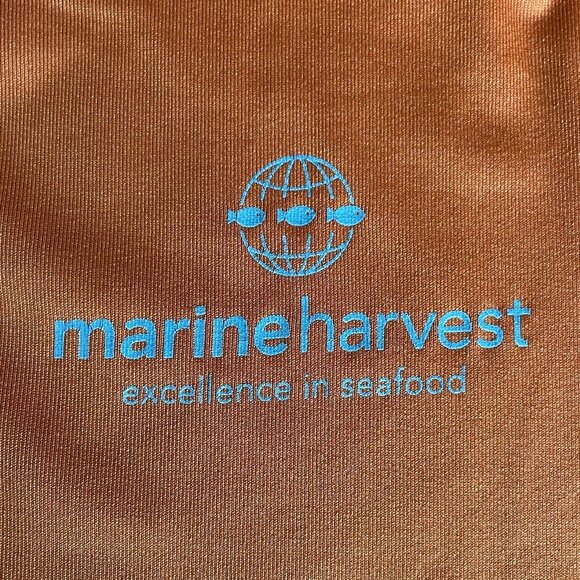 Stormtech Performance LS 1/4 Zip HiNk Lightweight Poly Top Burnt Orang Gry Sz S - Picture 11 of 12